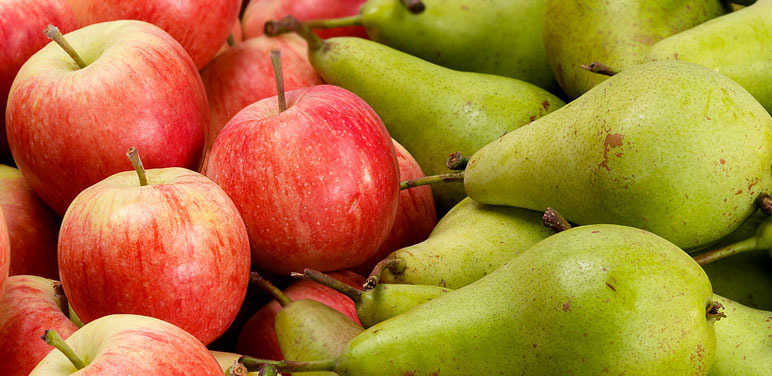 La pera y la manzana son frutas llenadoras