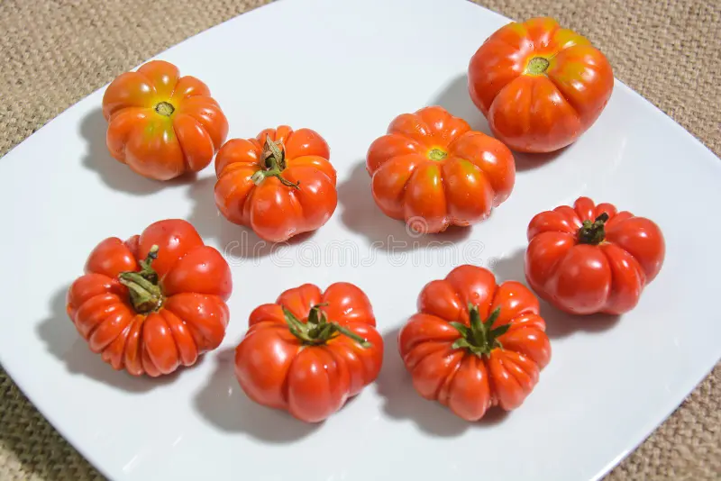 tomates italianos